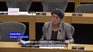 Bruselskí blázni