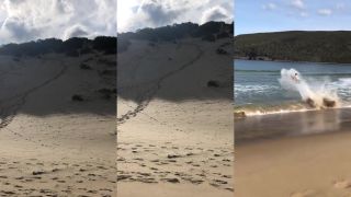 Z duny rovno do vody