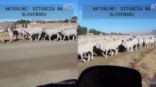 Situácia na Slovensku počas jesene 2020
