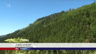 Na Slovensku viac dreva prirastie ako sa vyťaží