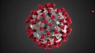 Hitovka Koronavirus??