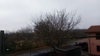 Slovak Training Academy - obťažovanie hlukom,nedeľa,8.11.20,Barc