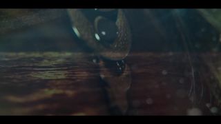 Blasterjaxx - Rescue Me (feat. Amanda Collis)