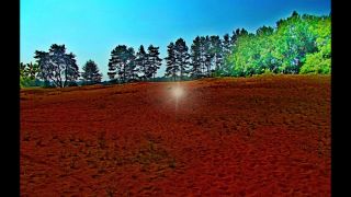 Rok 2020. Kdy skončí čas absurdit?