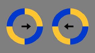 Šípky a kruhy (optická ilúzia)