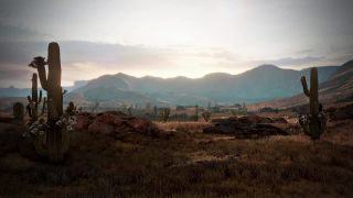Wild west - - - 