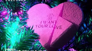 Lulleaux -  I Want Your Love
