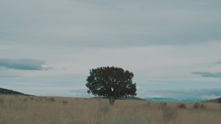 MTRSS - Cali High (Official Music Video)