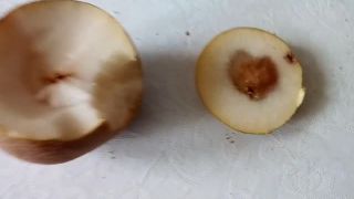 Roztni poleno - som tam. Obráť kameň - som tam.