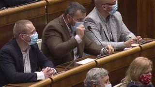 Paradoxny meter v parlamente