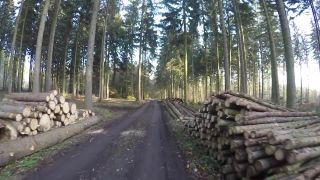 Útok na lýkžrouta