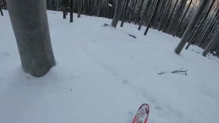 Vtacnik,freeride
