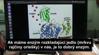 Bol Ježiš programátor?