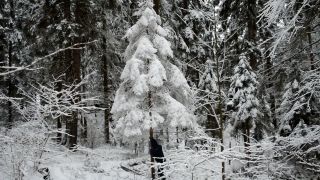 Nejde,nejde....a potooom