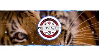 EDM - UBUNTU (TRIBAL MIX) [PRECISE_MUSIC]