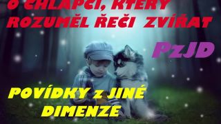 PzJD#17: O chlapci, který rozuměl řeči zvířat (fantasy)