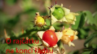 Rozprávka#04: O rajčátku na konci řádku (3 000 pohádek)