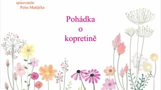 Rozprávka#15: Pohádka o kopretině (3 000 pohádek)