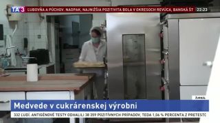 Medvede stratili plachosť, vlámali sa do cukrárenskej výrobne