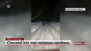 Chovateľ kôz zažil nečakanú návštevu: medveďa