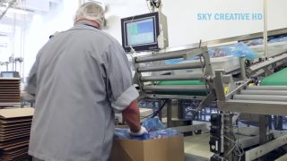 Moderná fabrika na spracovanie bravčového mäsa!