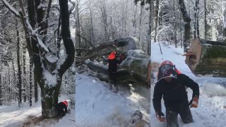 Pílenie stromu, keď je po kolená snehu