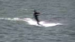 Wndsurfing na Domaši, Krym 4.10.2009