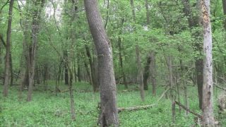Čudný zvuk v lese