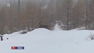 Tatranského jeleňa, ktorému hrozilo zastrelenie, odchytili