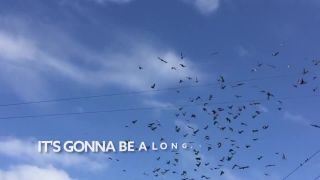 Showtek - Someone Like Me (feat. Lxandra)