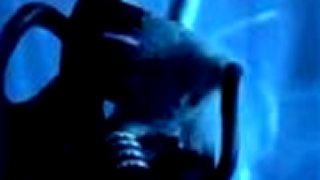 Don Omar - Virtual Diva