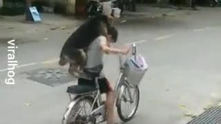 Pes na bicykli sa usmieva najviac ?