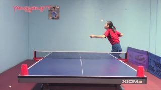 Ping pong LVL ASIAN