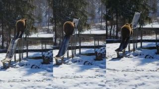 Medveď a jeho obľúbená zábava (Rumunsko)