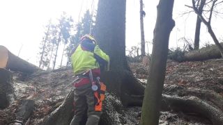 Hydraulický jack hever zdvihák v lesníctve. Nasmerovanie stromu