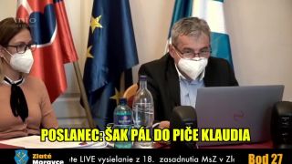 Mestské zastúpiteľstvo v Zlatých Moravciach