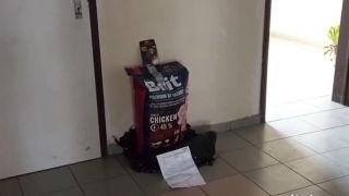No pri mne prosto padajú predmety - zase len telekinéza