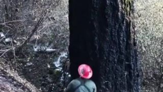 Upokojujúce Videá Pracovníkov, Ktorí Vykonávajú prácu..