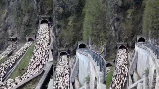 Podpora ovčiarstva a vidieku v Taliansku. Ovčiar veľký pán