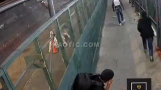 Normálny den v brooklyne