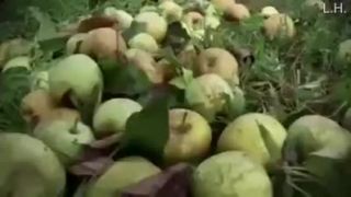 Lokálne ovocie? Zabudni! EÚ ti ho zakáže