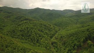 Rudno nad Hronom. Lesy z dronu. Spochybnenie ekoteroristov