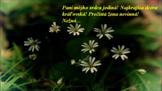 Nežná