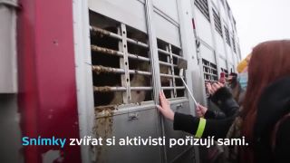 Protest pred bitúnkom v Kostelci (reportáž)