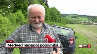 Medveď útočil na poľovníka v mestskej časti Brodno - Žilina