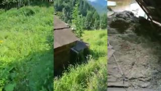 Medveď vykonal jatku na domácich zvieratách. Rumunsko