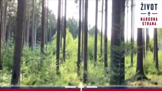 Turistická a rekreačná atraktívnosť hospodárskeho lesa