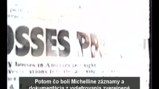 Všetci moji hrdinovia stále nosia masky (dokument)