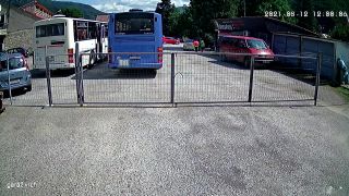 Hovädo dňa