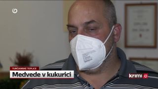 Problémy s medveďmi v meste Turčianske Teplice